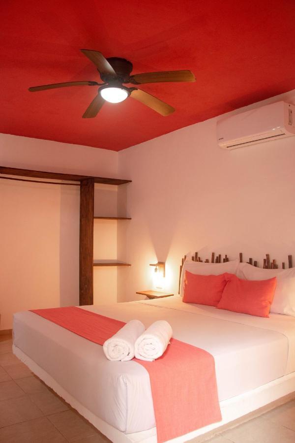 Hotelito إل كويو المظهر الخارجي الصورة